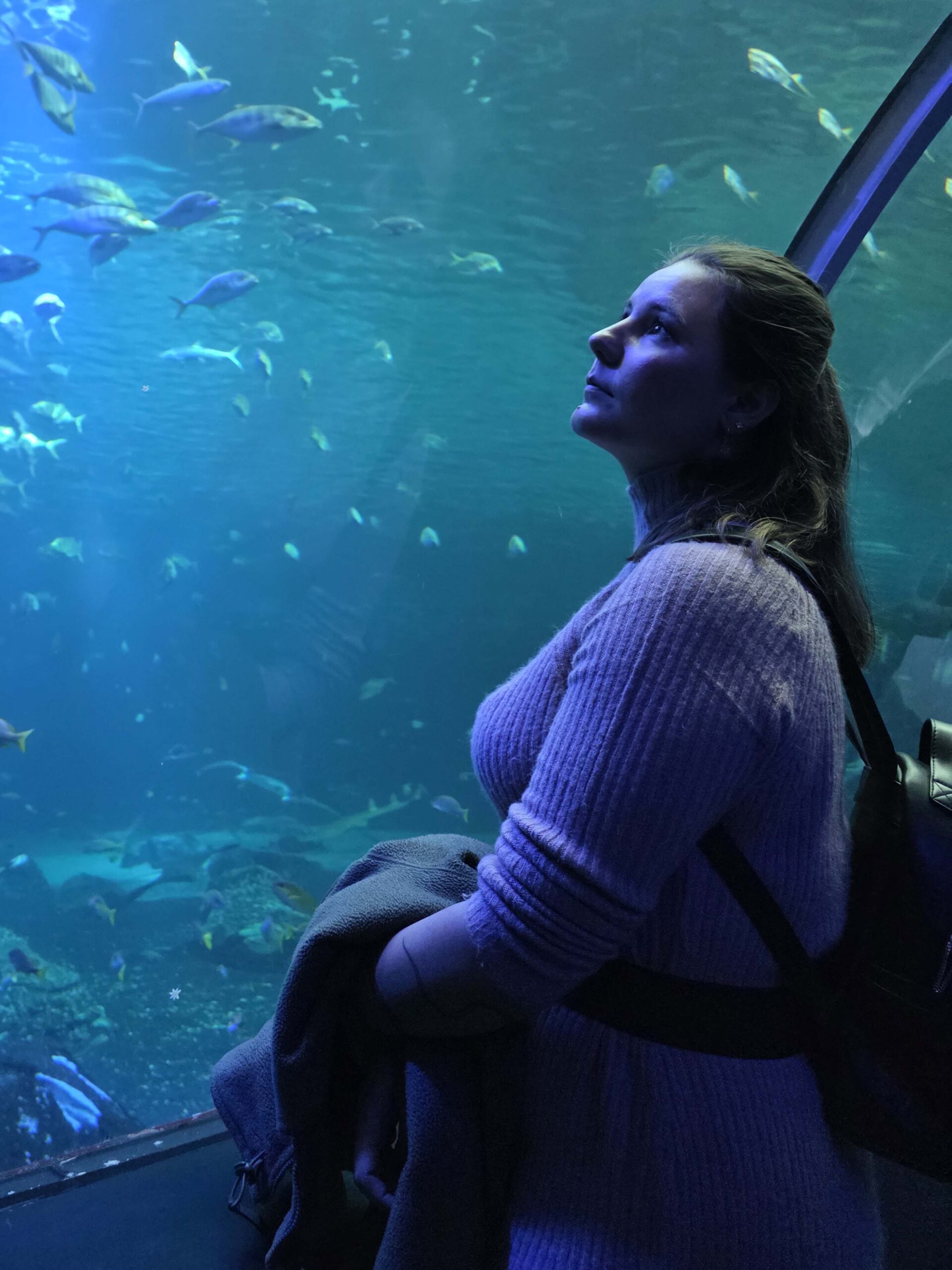 Morgane, fondatrice d'Antiquités Animalières